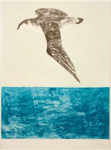 a print showing a shearwater - a sea bird - flying above the sea