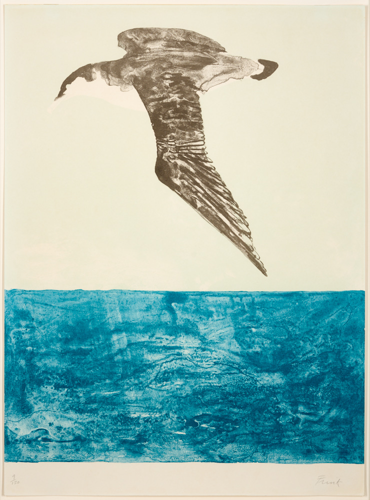 a print showing a shearwater - a sea bird - flying above the sea