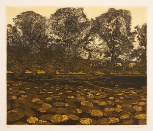 An etching of a dark body of water meeting a bank halfway up the image. The surface of the water covered in lily pads in different ochre shades. Three large trees stand over the water, with dark thin branches set against a pale sky.