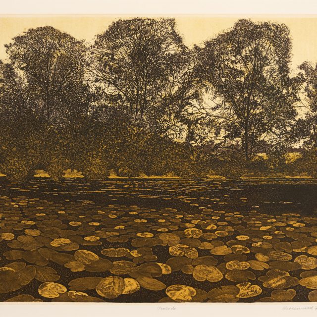 An etching of a dark body of water meeting a bank halfway up the image. The surface of the water covered in lily pads in different ochre shades. Three large trees stand over the water, with dark thin branches set against a pale sky.