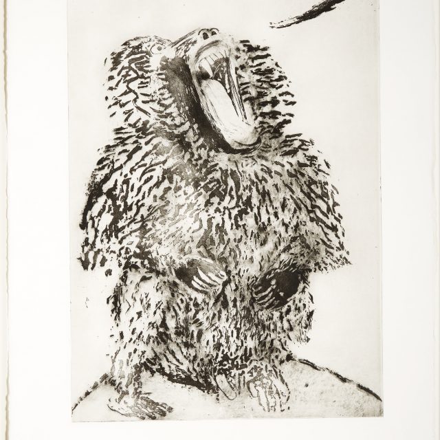 An etching depicting an ape on it's hind legs with it's mouth open.