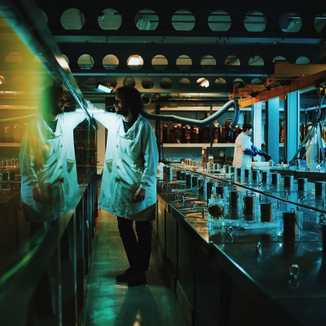 A still from a video, showing a person with a beard and shoulder length hair, in a white labcoat. They are looking into a glass chamber, which is obscured by reflection.