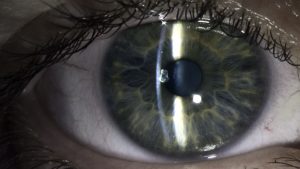 A close up of a human eye, with black eyelashes and a blue-green iris.