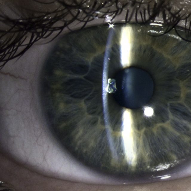 A close up of a human eye, with black eyelashes and a blue-green iris.
