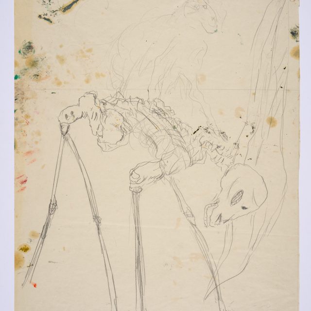 A preparatory sketch on cream coloured paper, showing the skeleton of a crouching, four-legged animal.