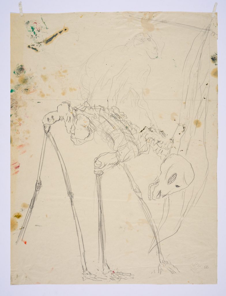 A preparatory sketch on cream coloured paper, showing the skeleton of a crouching, four-legged animal.