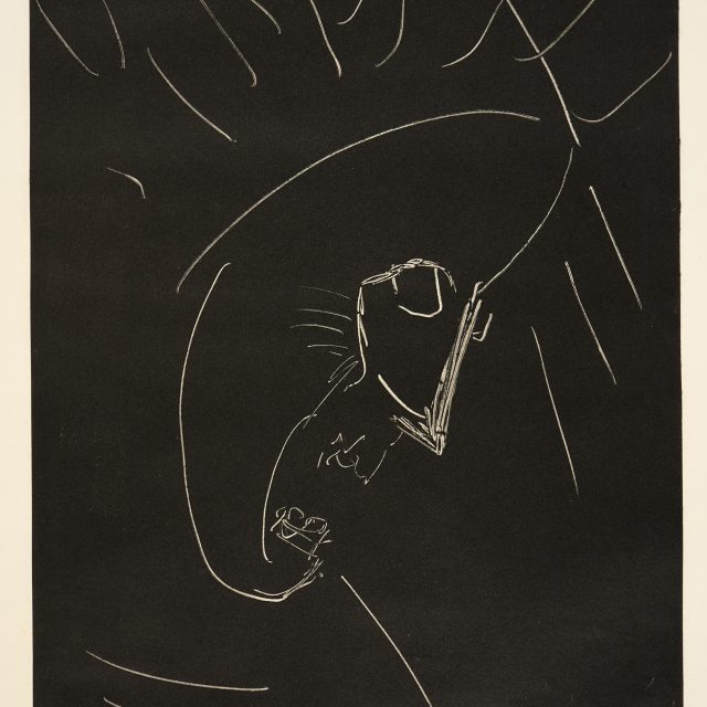 A monotype print with a black background depicting a distorted face with open mouth and pointed nose. The features are depicted through thin white lines.