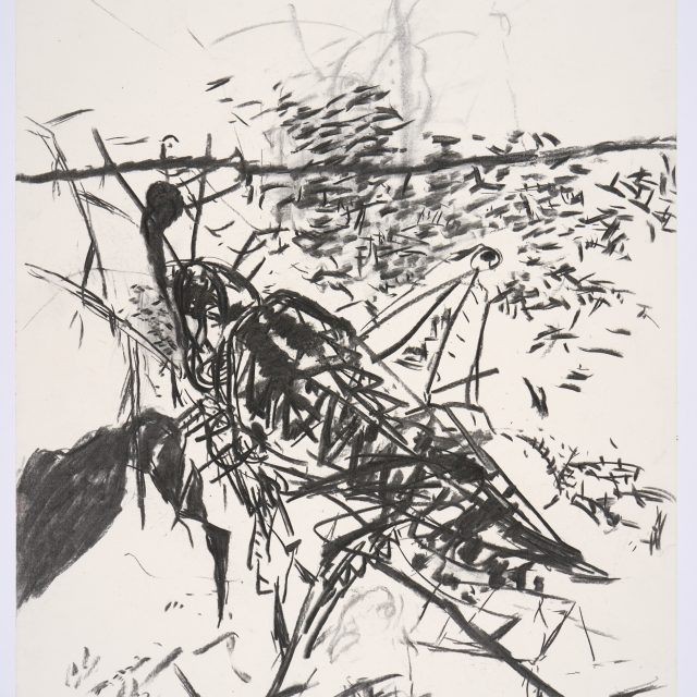 A charcoal drawing depicting an abstracted locust, using bold, energetic lines and dots. The locust spands the page diagonally, it's head towards the top left corner, and it's tail towards the bottom right.