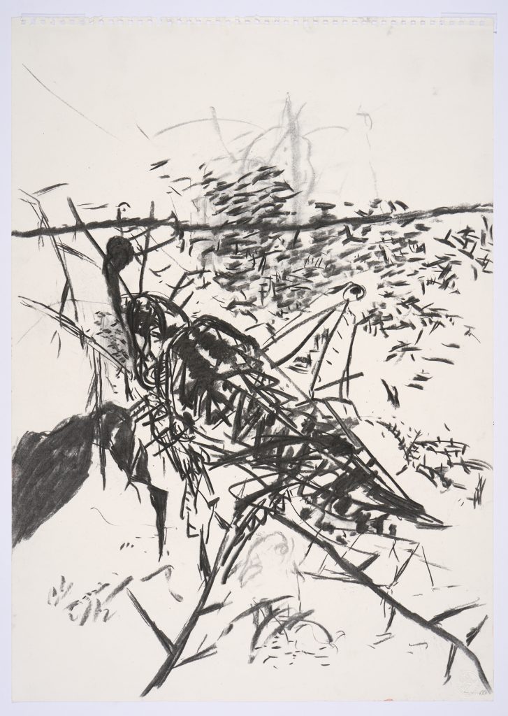A charcoal drawing depicting an abstracted locust, using bold, energetic lines and dots. The locust spands the page diagonally, it's head towards the top left corner, and it's tail towards the bottom right.