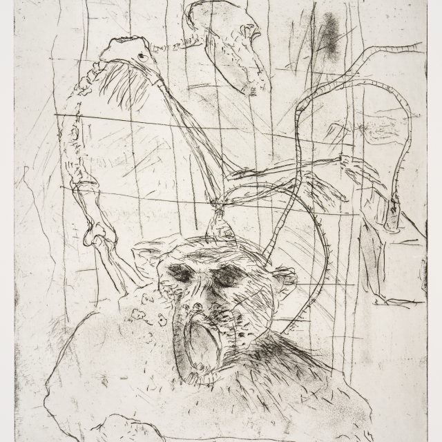 A delicate etching depicts a monkey with an open, screaming mouth, and dark eyes. The monkey is attached from the top of it's head, through spindly twisting cables, to a machine behind. A skeleton is turned, profile to the viewer, to control the machine. In the background, the image is framed by a rectangle grid, like a jail cell.
