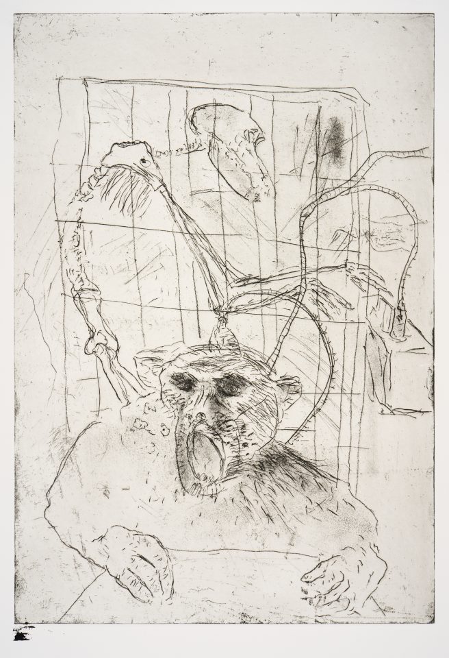 A delicate etching depicts a monkey with an open, screaming mouth, and dark eyes. The monkey is attached from the top of it's head, through spindly twisting cables, to a machine behind. A skeleton is turned, profile to the viewer, to control the machine. In the background, the image is framed by a rectangle grid, like a jail cell.