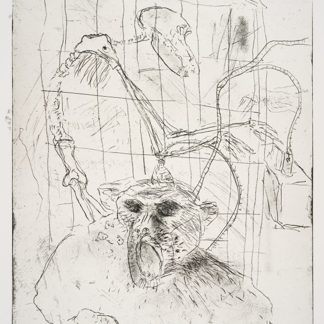 A delicate etching depicts a monkey with an open, screaming mouth, and dark eyes. The monkey is attached from the top of it's head, through spindly twisting cables, to a machine behind. A skeleton is turned, profile to the viewer, to control the machine. In the background, the image is framed by a rectangle grid, like a jail cell.