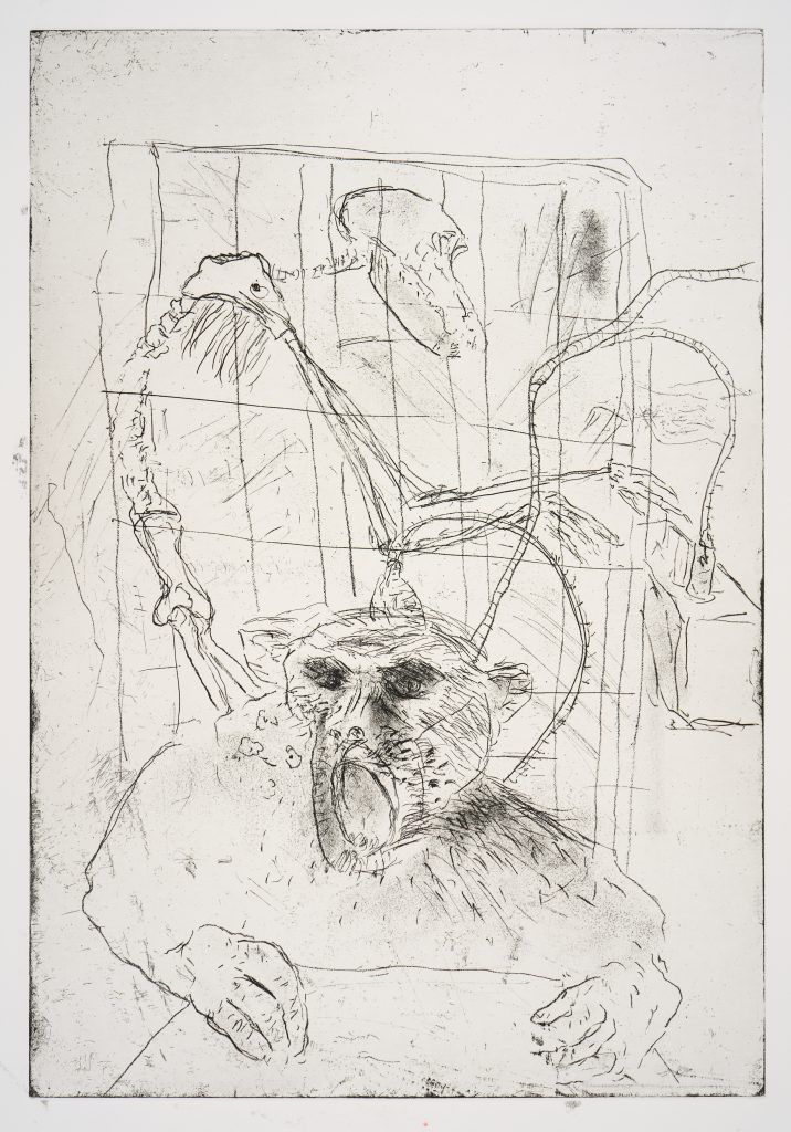 A delicate etching depicts a monkey with an open, screaming mouth, and dark eyes. The monkey is attached from the top of it's head, through spindly twisting cables, to a machine behind. A skeleton is turned, profile to the viewer, to control the machine. In the background, the image is framed by a rectangle grid, like a jail cell.