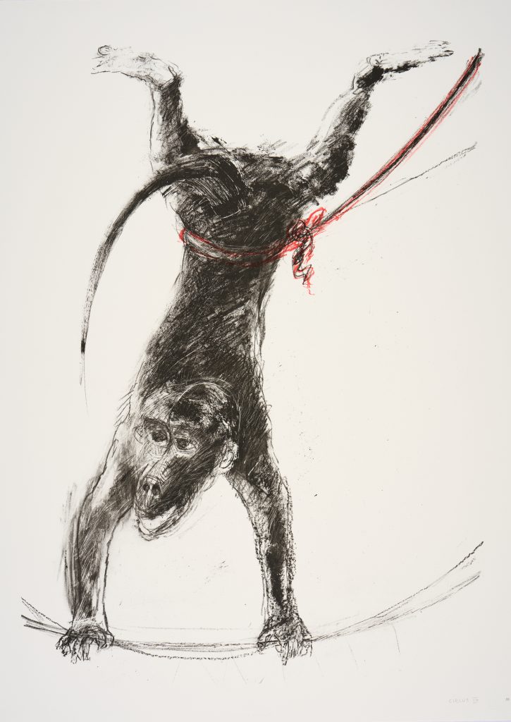 A print depicts a dark money performing a handstand on a tightrope. The monkey has it's back facing the viewer, but looks back, their face upsidown. Their tale curves up to point towards their face. Around their waist, a red cord is tied.