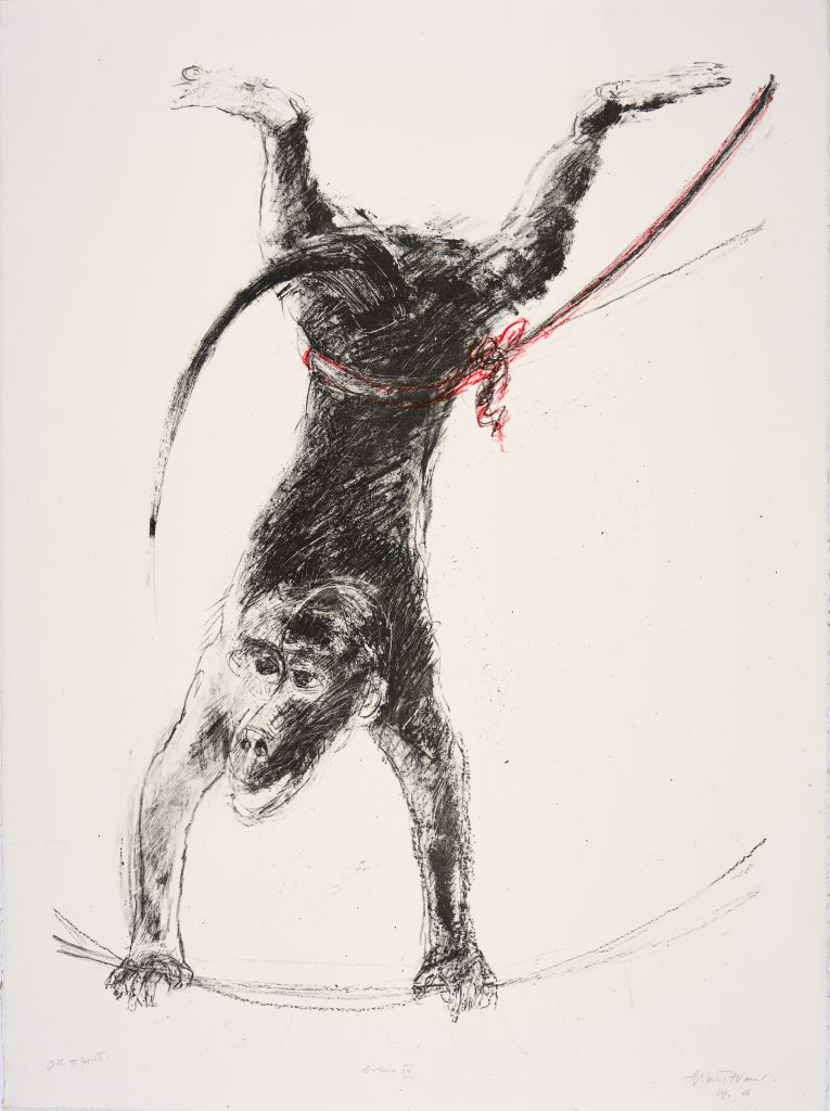 A print depicts a dark money performing a handstand on a tightrope. The monkey has it's back facing the viewer, but looks back, their face upsidown. Their tale curves up to point towards their face. Around their waist, a red cord is tied.
