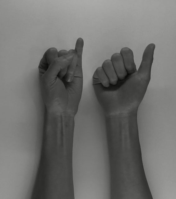 There are two hands in the picture, the one on the left makes a fist but shows the pinky finger, and the one on the right makes a fist and shows the thumb.