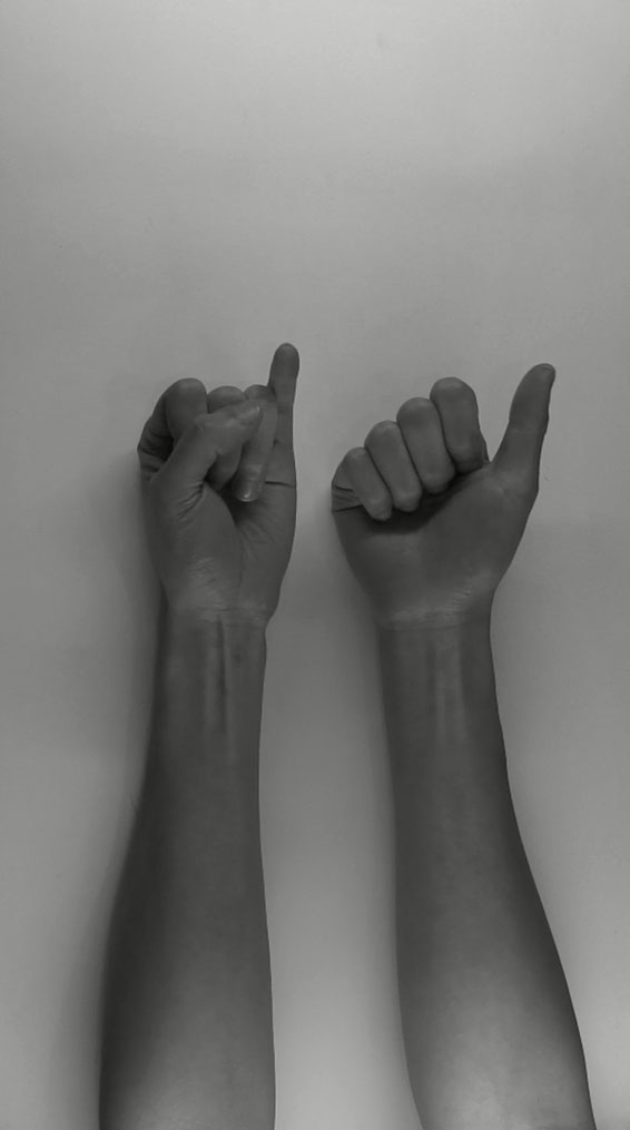 There are two hands in the picture, the one on the left makes a fist but shows the pinky finger, and the one on the right makes a fist and shows the thumb.