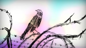 A hand drawn crow sits on barbed wire, against a light pink and blue sky