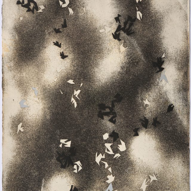Semi Abstract, Black and White Birds in flight, Clouds