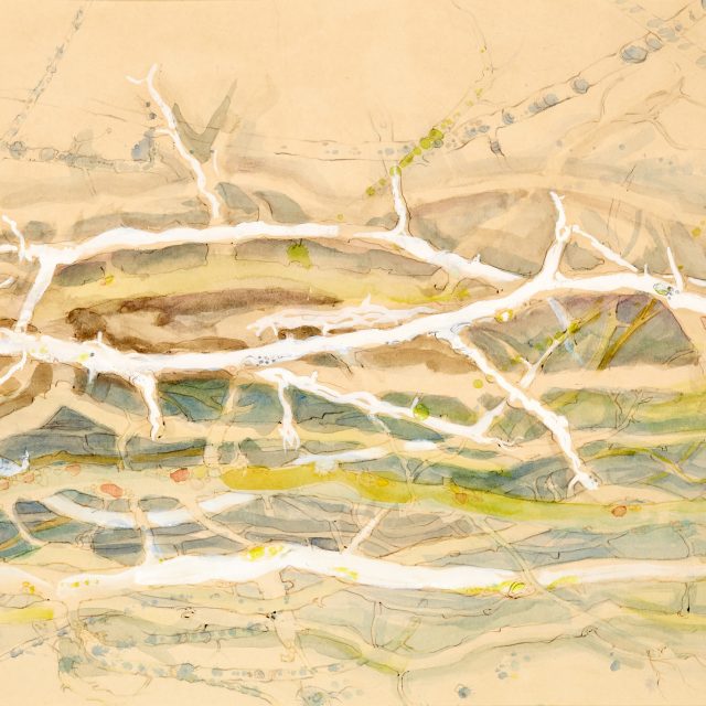 twigs drawing/painting, twigs, branches, watercolour, ink,