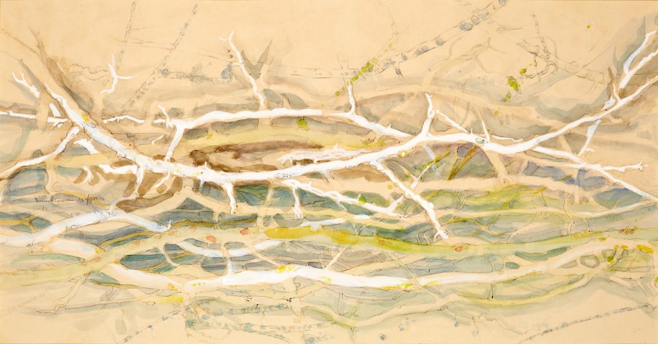 twigs drawing/painting, twigs, branches, watercolour, ink,