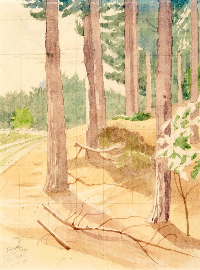 study of forest, nature, trees