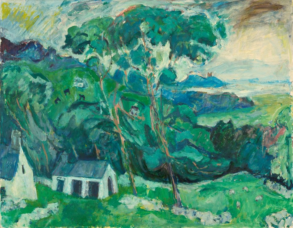 needs conservation. green, trees, landscsape