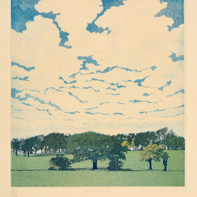 white sky, clouds, trees, field