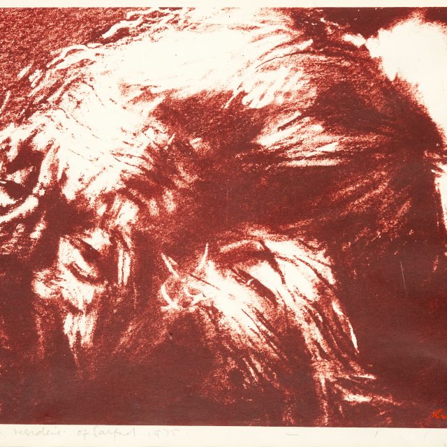 portrait of elderly lady