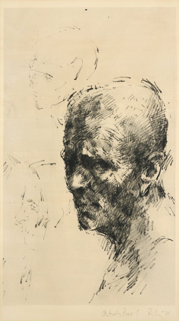male, portrait, head