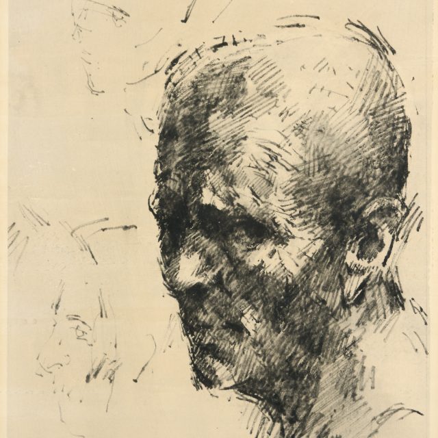 male, portrait, head