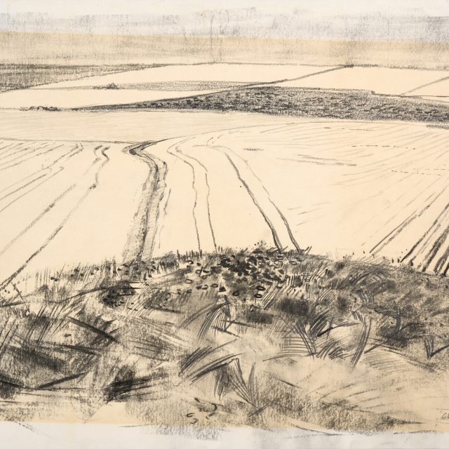 hill, landscape, black and white