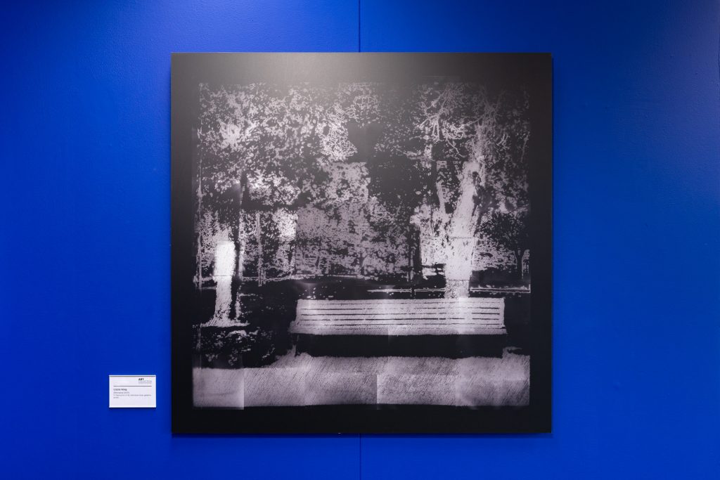 A large predominantly charcoal black artwork hung on a blue wall. This work depicts a park bench on the lower right, grass along the bottom, trees toward the top, and a figure on the left - all of which are in a contrasting white tone emerging from the black.