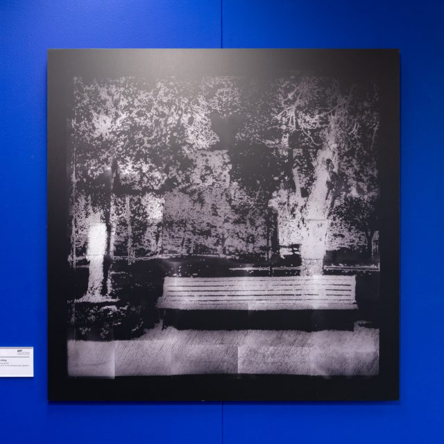 A large predominantly charcoal black artwork hung on a blue wall. This work depicts a park bench on the lower right, grass along the bottom, trees toward the top, and a figure on the left - all of which are in a contrasting white tone emerging from the black.